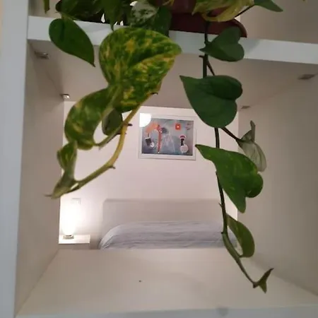Apartment Johann Sebastian House